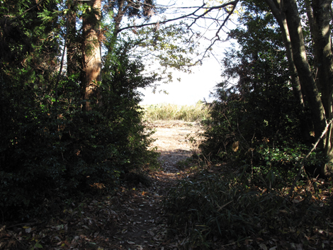20131223hike (367)